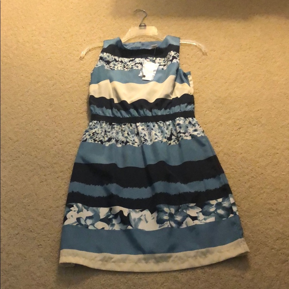 Loft Floral Blue Dress